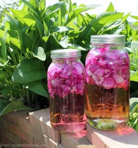 تصویر 4 از گلاب میمند درجه یک و تازه